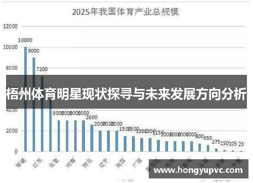 梧州体育明星现状探寻与未来发展方向分析