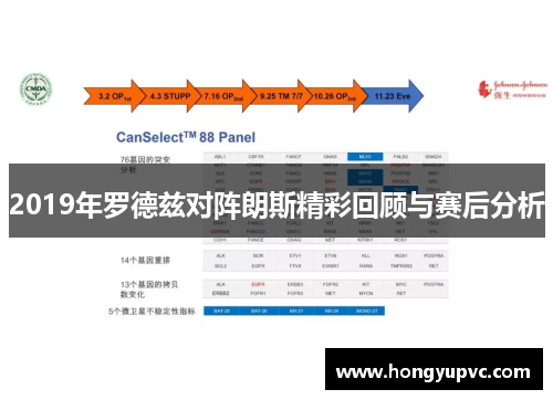 2019年罗德兹对阵朗斯精彩回顾与赛后分析